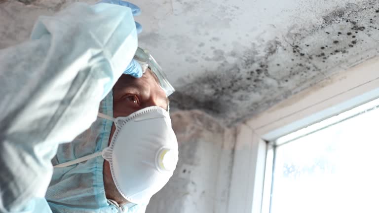 Professional Mold Removal in Dunnellon, FL